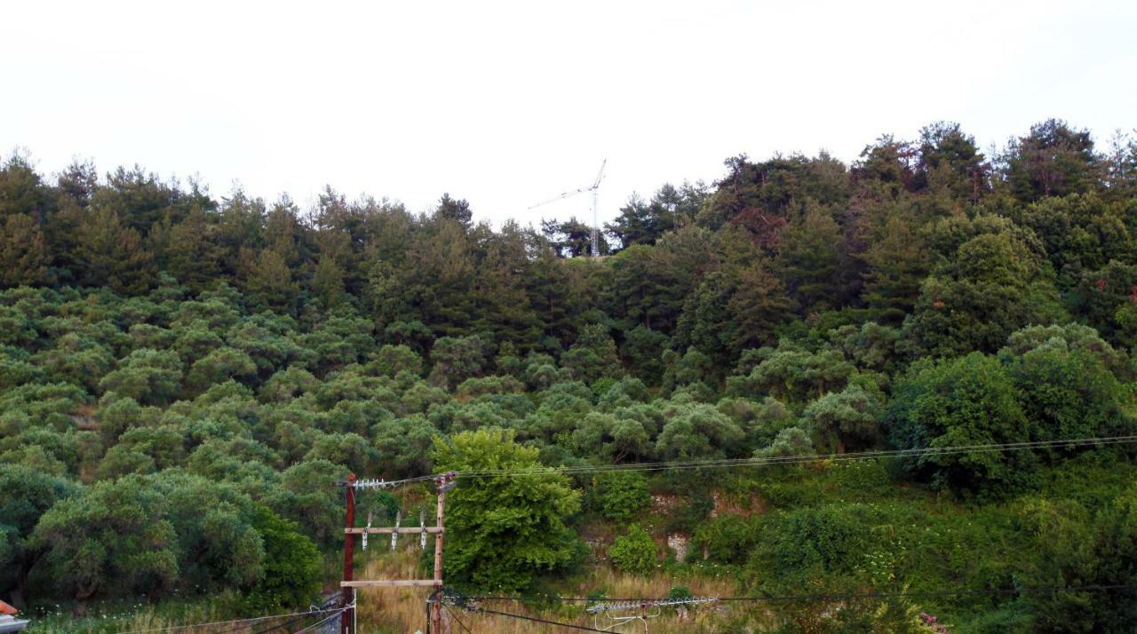 タソスBay Viewアパートメント エクステリア 写真